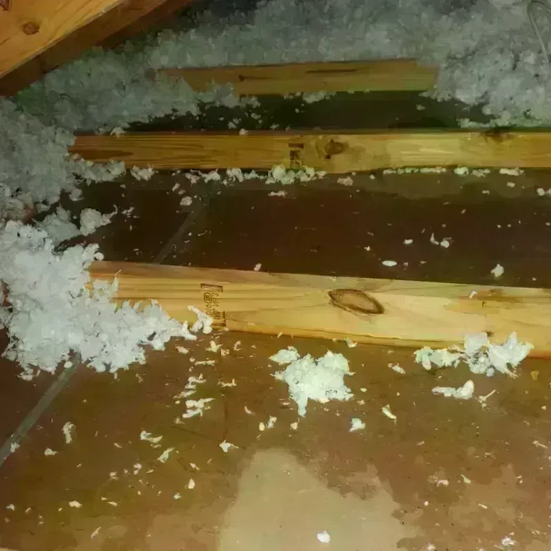 Attic Water Damage in Logan, IA