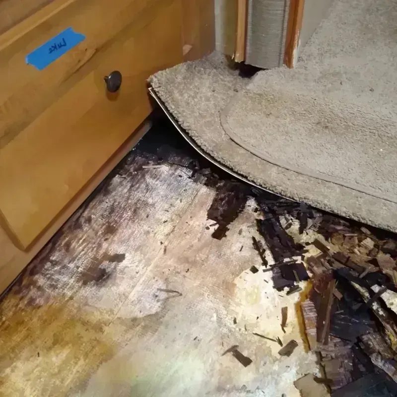 Best Wood Floor Water Damage Service in Logan, IA